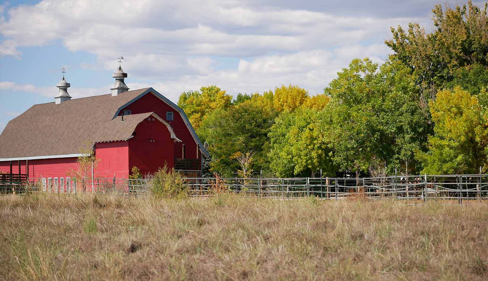 Longmont Lifestyle - Barn and Field