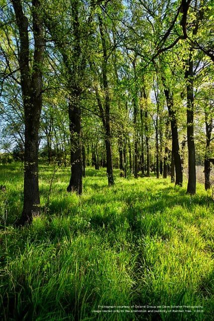 Nature and walking paths
