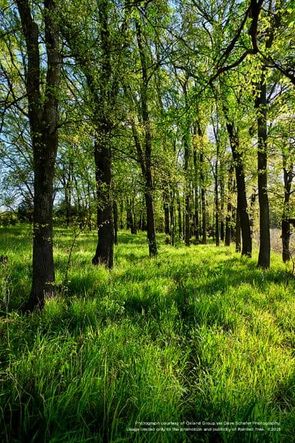 Nature and walking paths