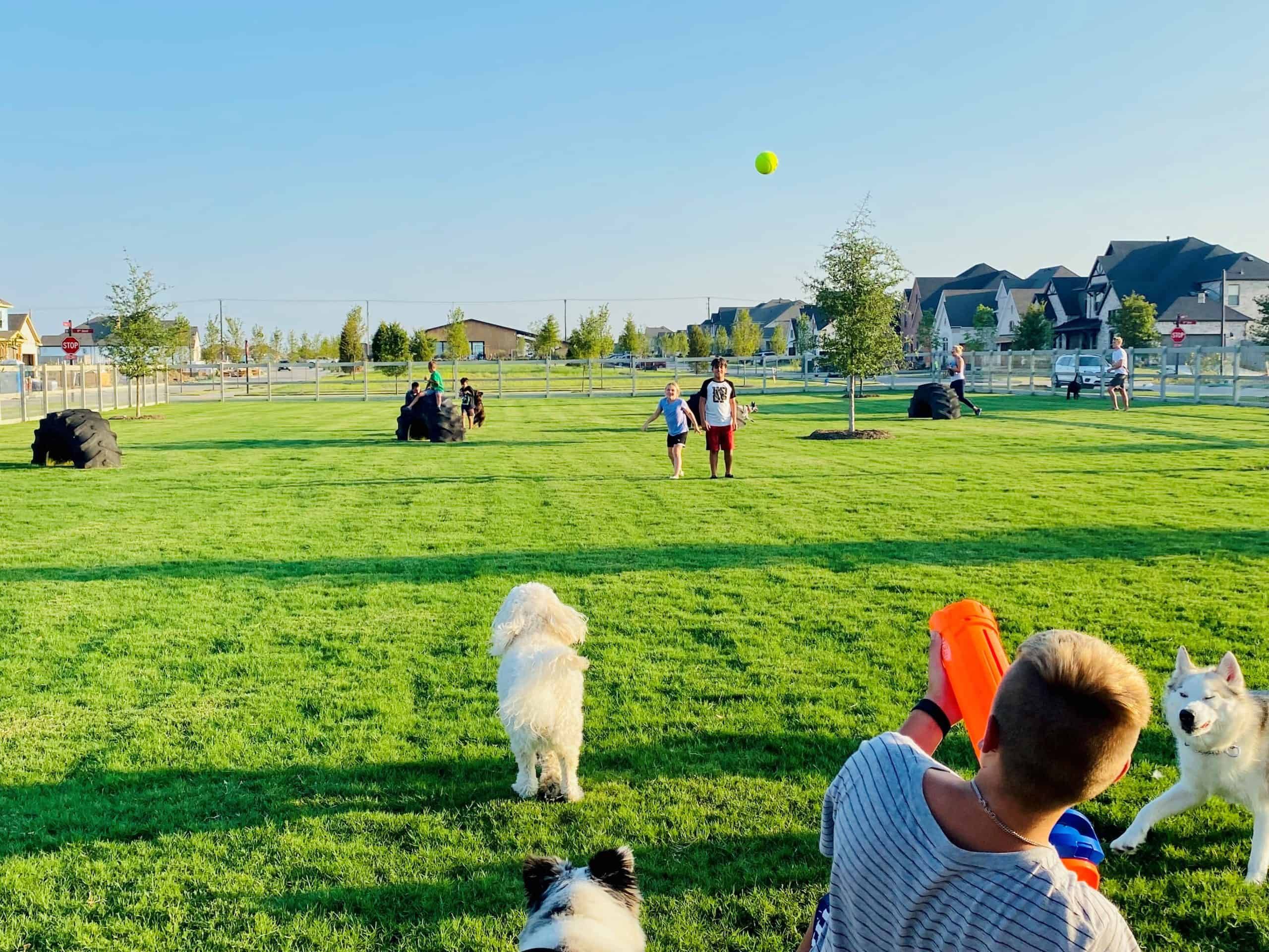 The Retreat at Harvest - Lifestyle