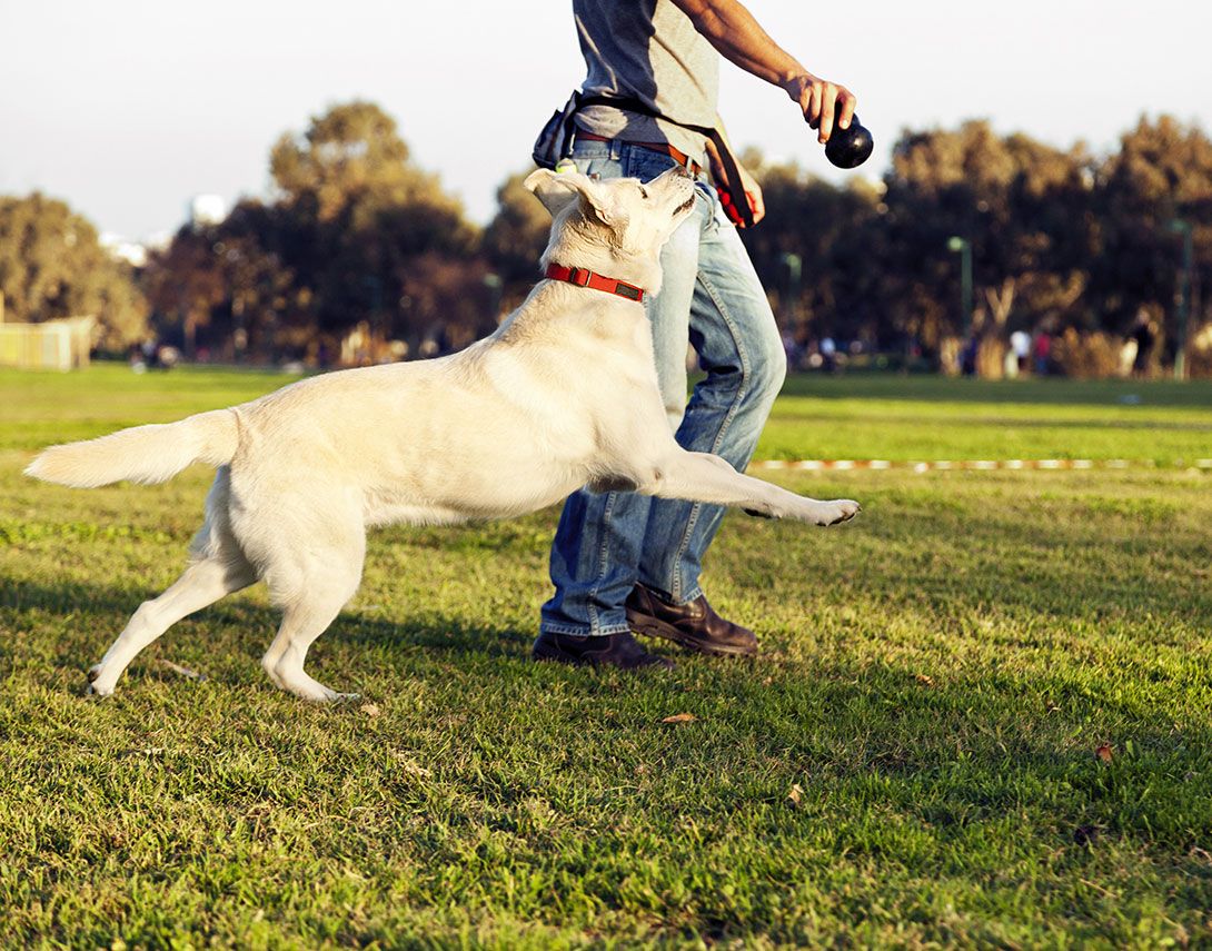 Brambleton offers Plentiful Parks and Places to Play