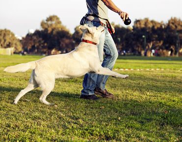 Brambleton offers Plentiful Parks and Places to Play