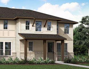 Chicory - Terrace Collection at Harvest: Argyle, Texas - Tri Pointe Homes