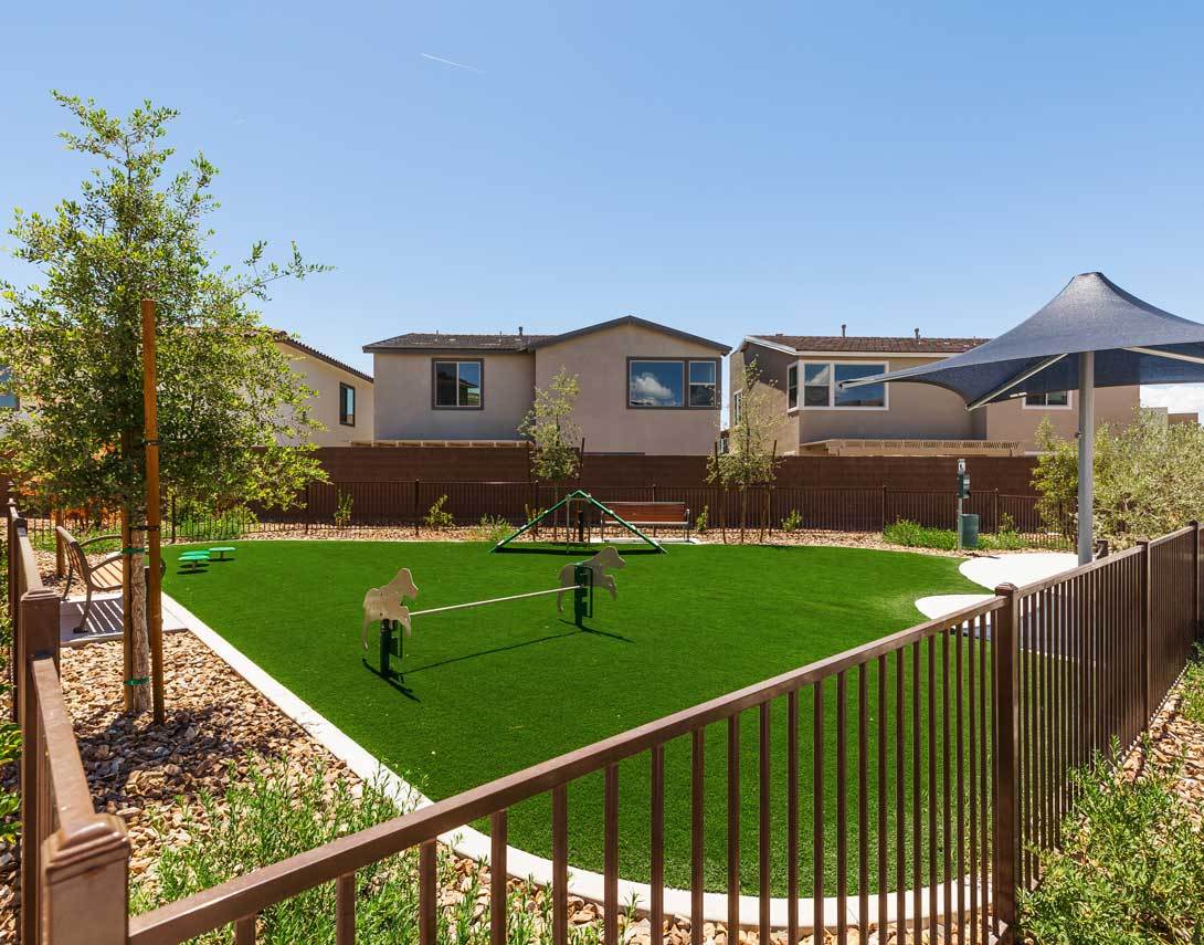 Dog Park at Azure Park