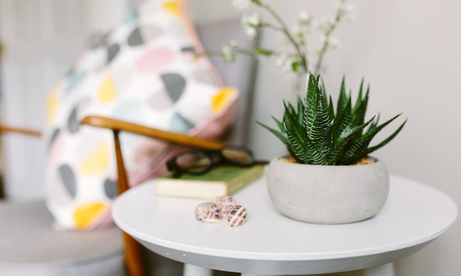 Earth-Friendly Homes