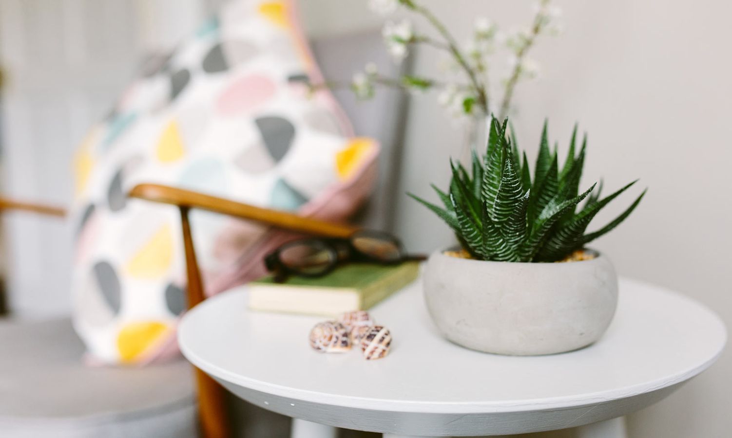 Earth-Friendly Homes