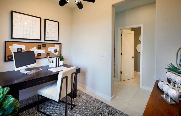 Vibrance Plan 1 Model Office