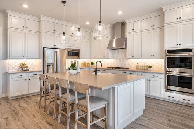 Holly Model | Kitchen