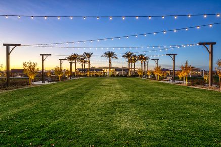 Planned Community Amenity