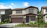 Home in Starblossom at Montelena by Tri Pointe Homes