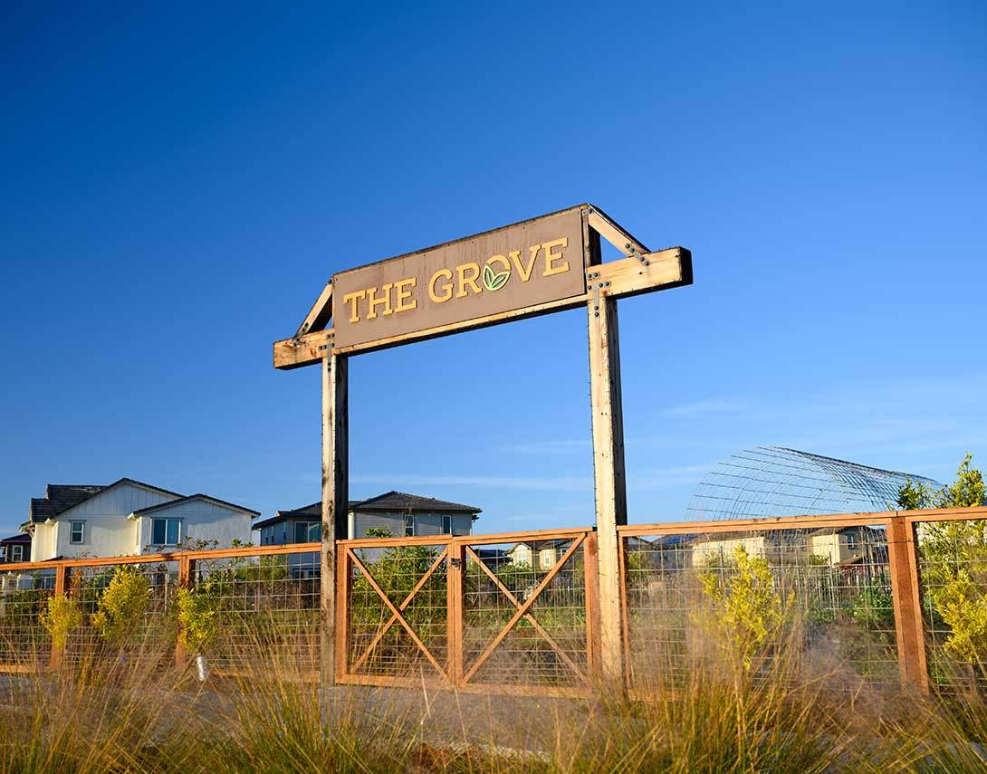 The Grove Community Garden
