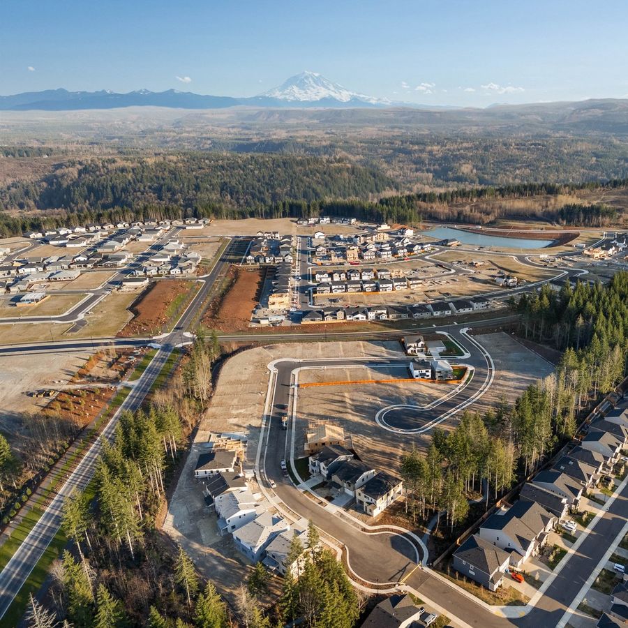 Neighborhood with Mount Rainier