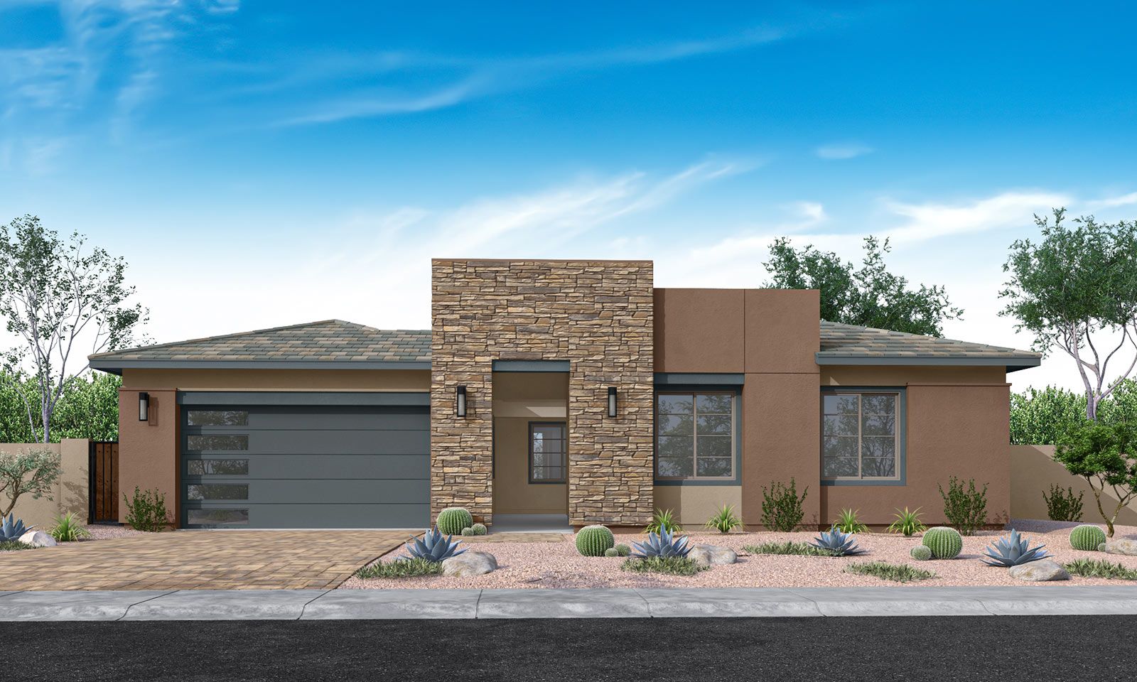 Cholla Plan 5541