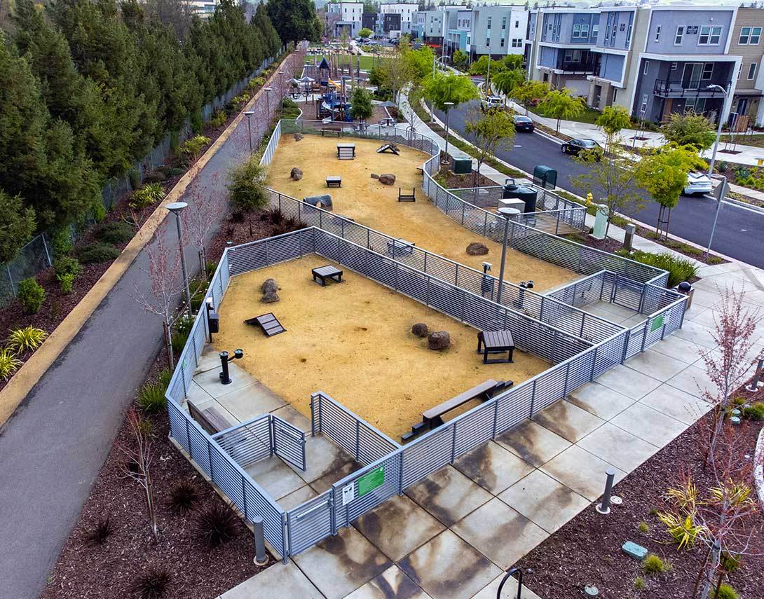 Dog Park