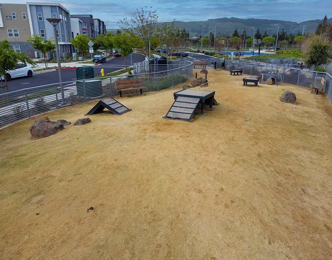 Dog Park