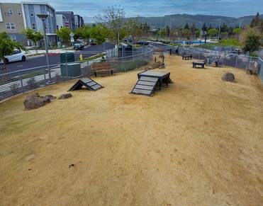 Dog Park