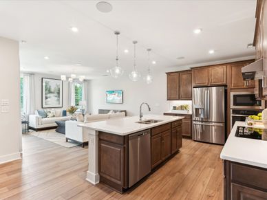 Model Home Kitchen