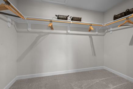 Primary Closet