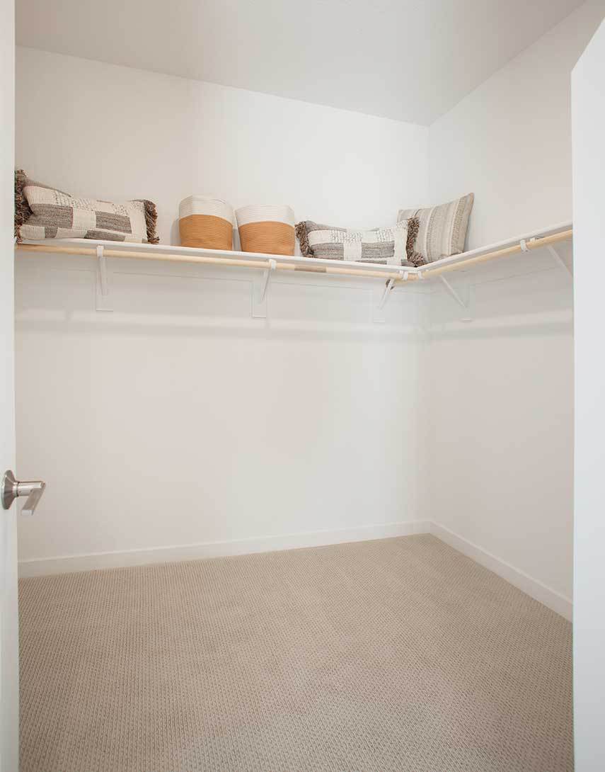 Primary Walk-In Closet 1