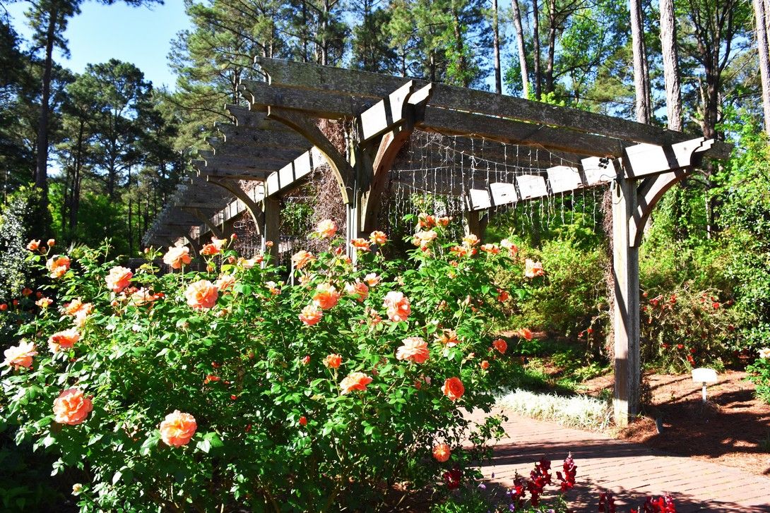 Cape Fear Botanical Garden