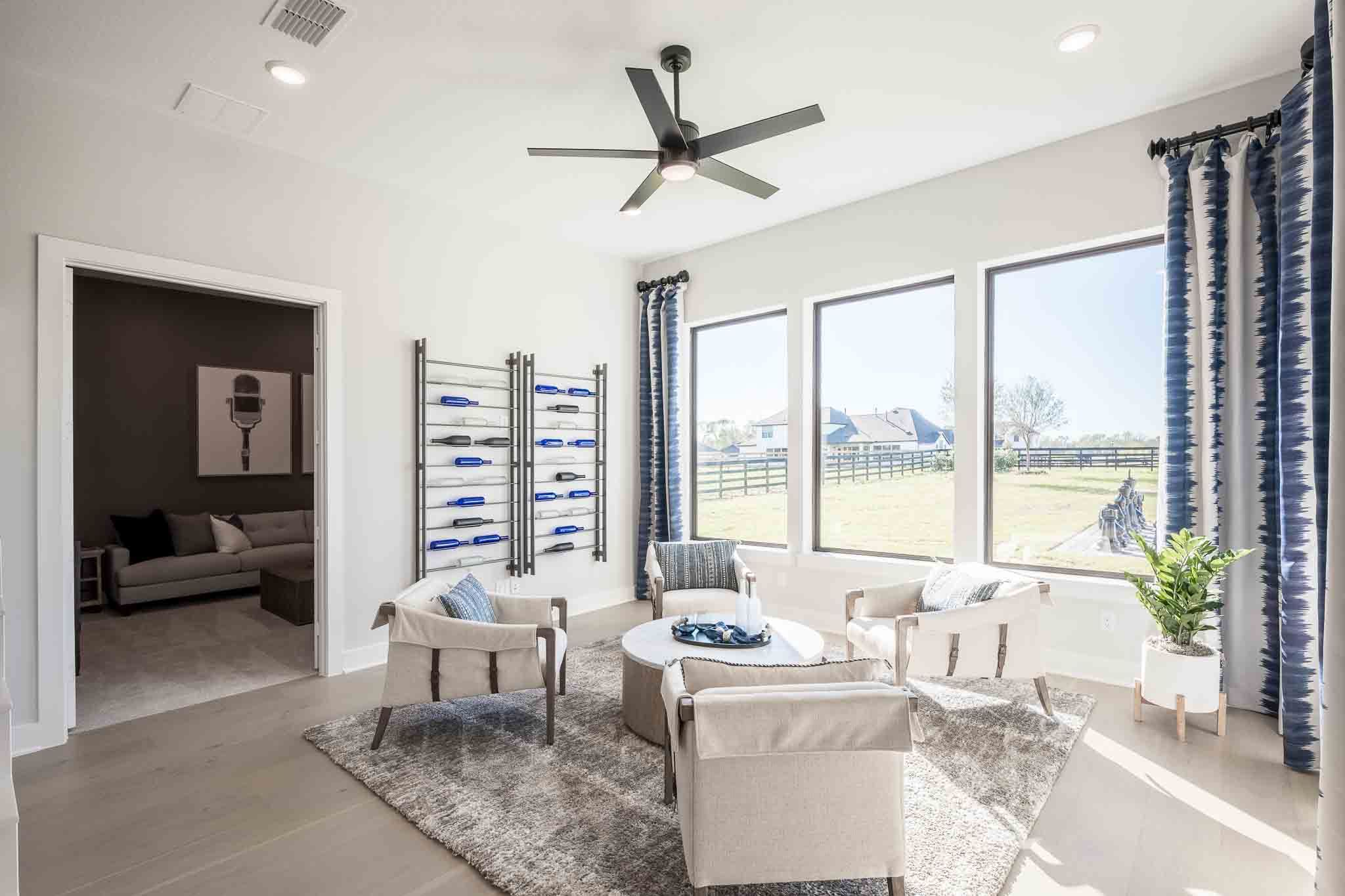 Media Room and Lounging