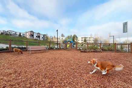 1,000 square feet of play area