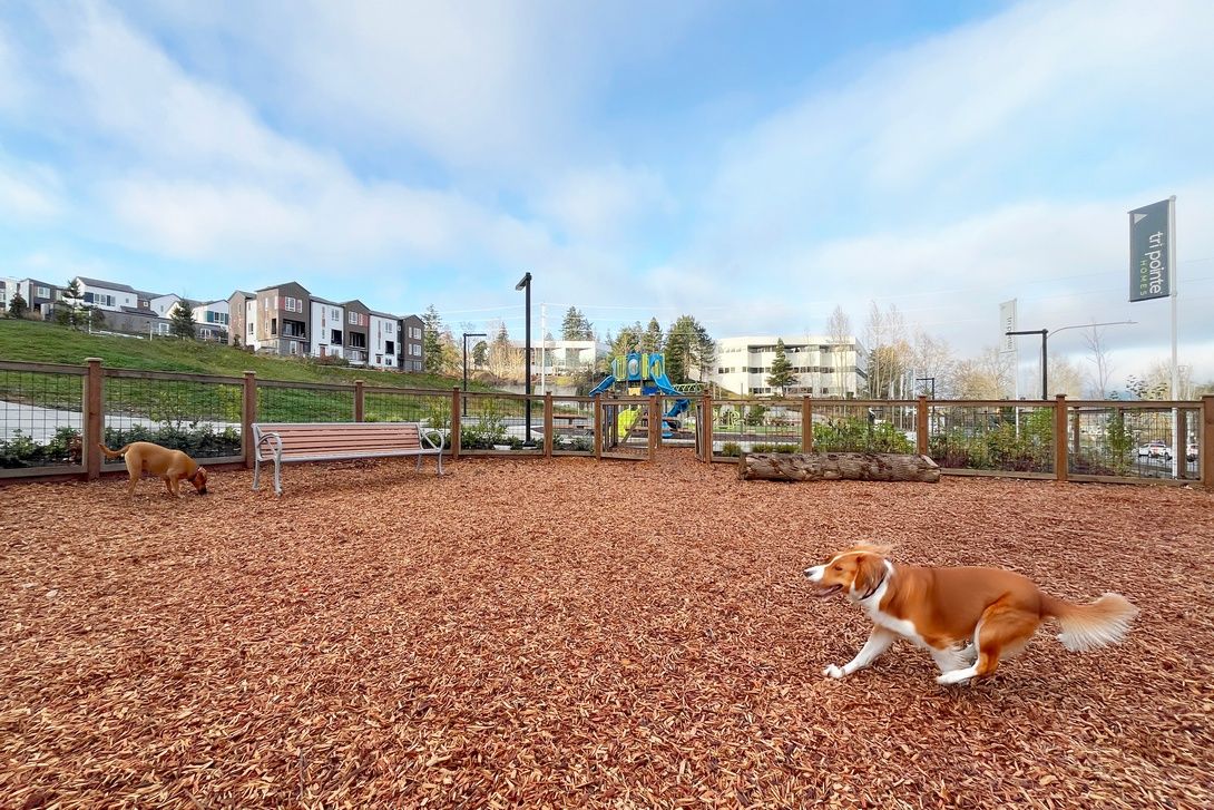 1,000 square feet of play area