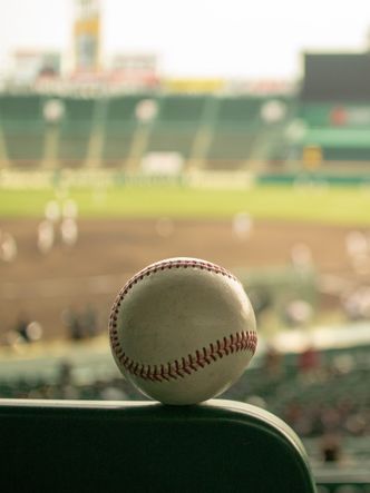 Durham Bulls Baseball