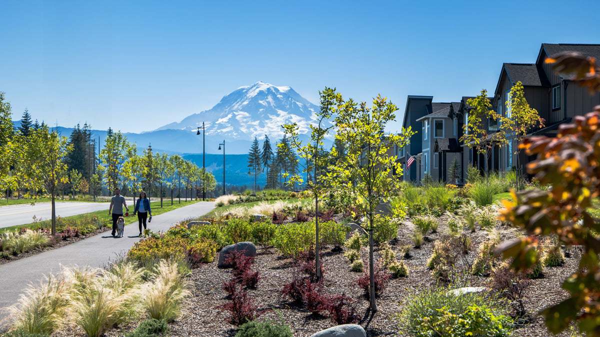 Walking trails galore