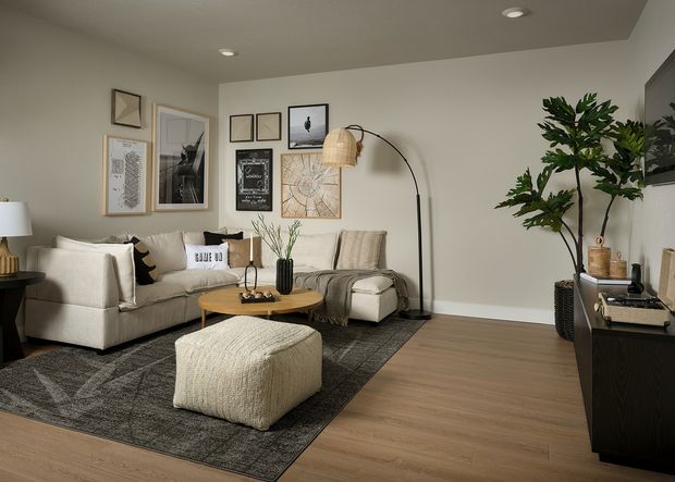 Finished basement recreational room