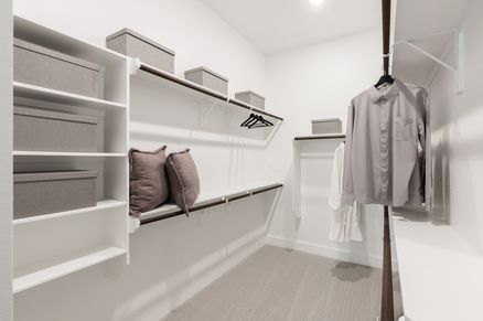 Whimbrel Model | Primary Walk-In Closet