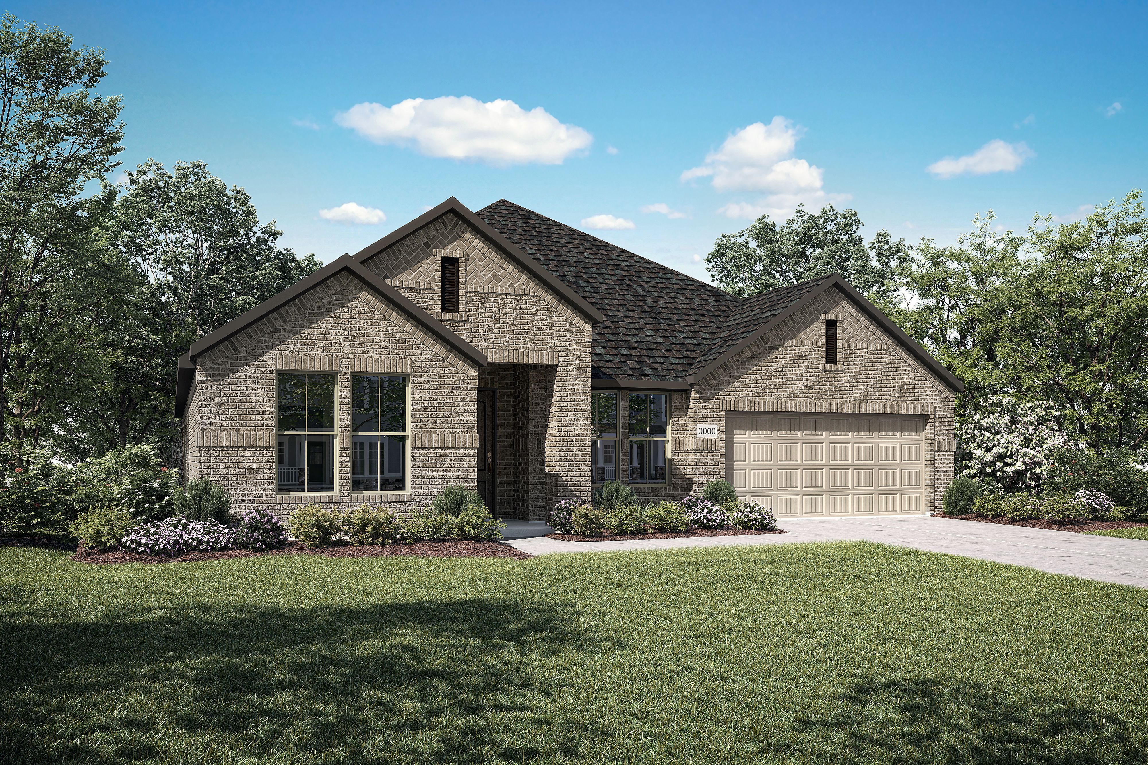 Elevation Rendering