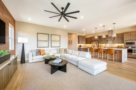 Elden Model | Great Room