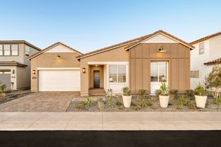 Violet Plan 5008 - Revana at Soleo: San Tan Valley, Arizona - Tri Pointe Homes