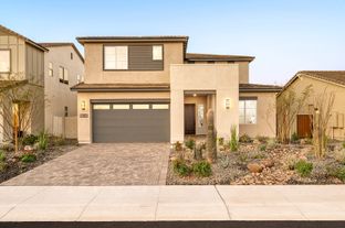 Safflower Plan 40-4 - Luna at Soleo: San Tan Valley, Arizona - Tri Pointe Homes
