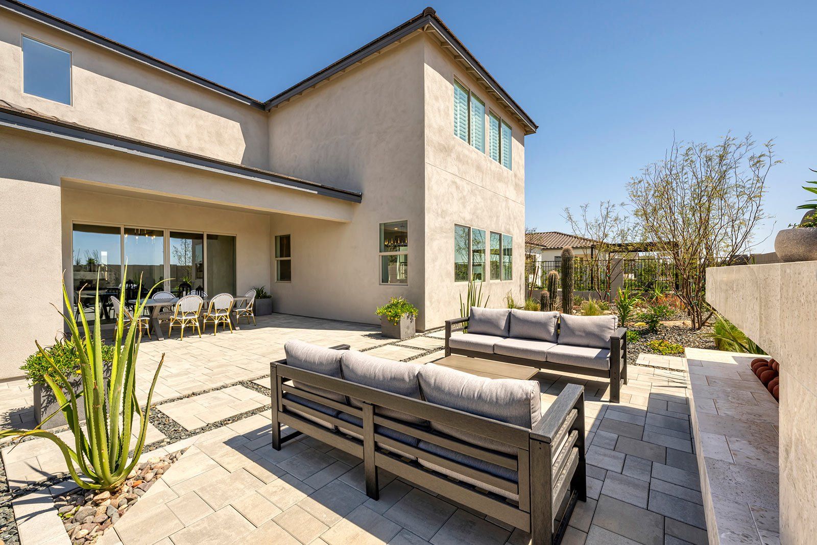 Safflower Model | Backyard