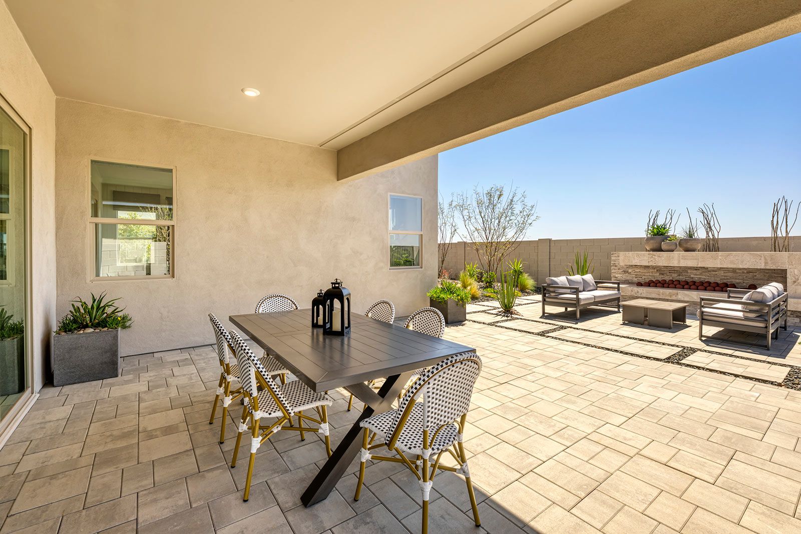 Safflower Model | Backyard