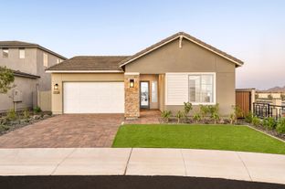 Juniper Plan 40-7 - Luna at Soleo: San Tan Valley, Arizona - Tri Pointe Homes