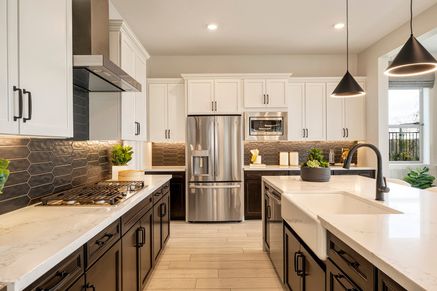Safflower Model | Kitchen