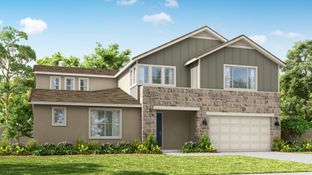 Plan 4 - Meadowlark: Redlands, California - Tri Pointe Homes