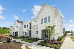 Mews at Holding Village - Wake Forest, NC