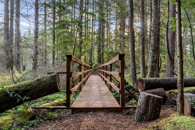 Over 8 Miles of Interconnected Trails
