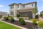 Park Collection At Park Central - Georgetown, TX