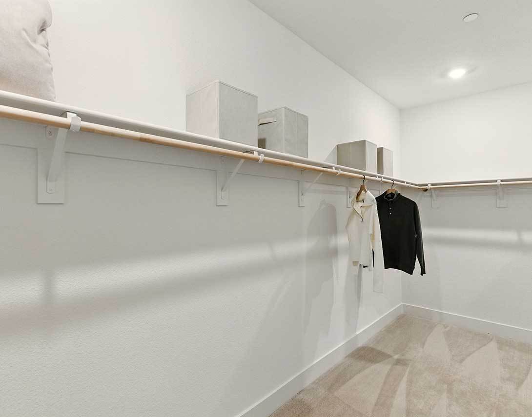 Primary Walk-In Closet