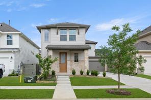 1605 Mint Road (Anise)