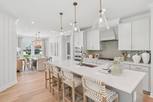 The Grove Collection at Serenity - Fuquay Varina, NC