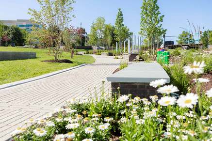 Paved Walking Trails