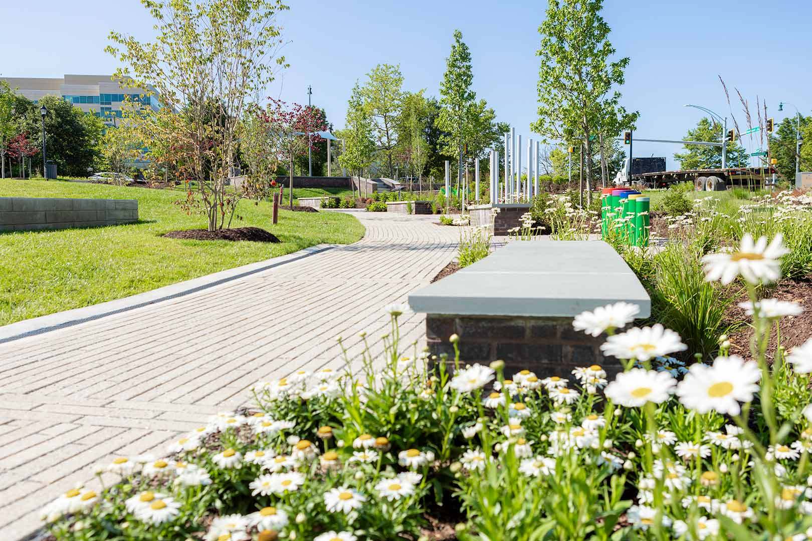 Paved Walking Trails