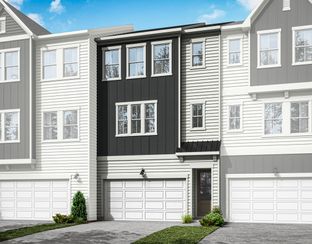 Isla - Twinleaf Townes: Chapel Hill, North Carolina - Tri Pointe Homes