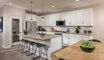 casa en Pomelo por Tri Pointe Homes